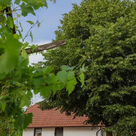 Hisa Pri Lipi * Pristava pri Mestinju